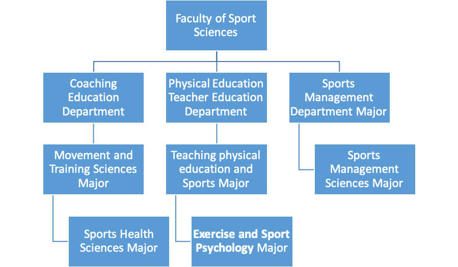 Organization Chart Faculty of Sport Sciences Marmara University
